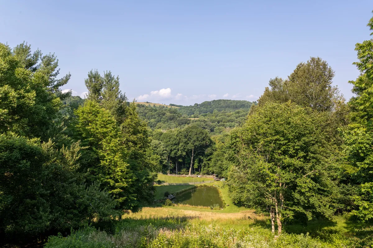 A tranquil view of lush green trees, a reflective pond, and rolling hills, evoking the natural splendor found in the Banner Elk area. The landscape invites thoughts of nature walks, picnics, and peaceful family moments outdoors.